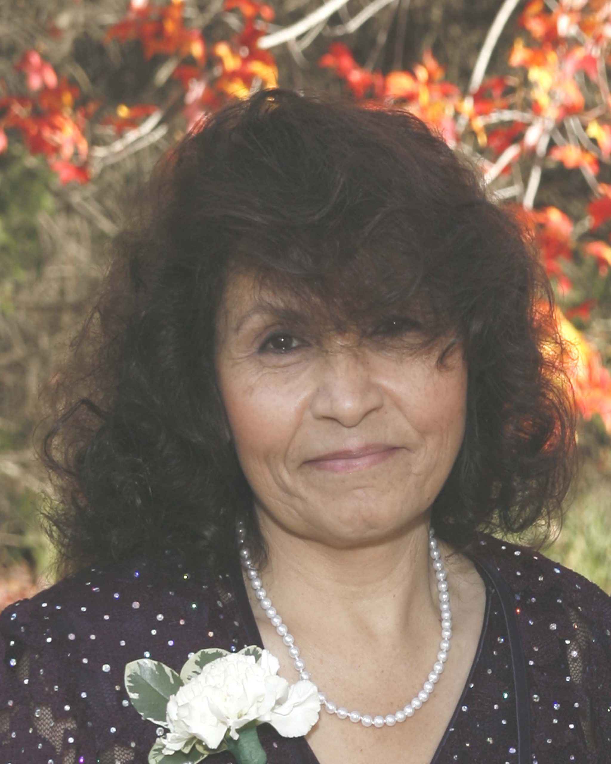 Obituaries News, Sports, Jobs Observer Today